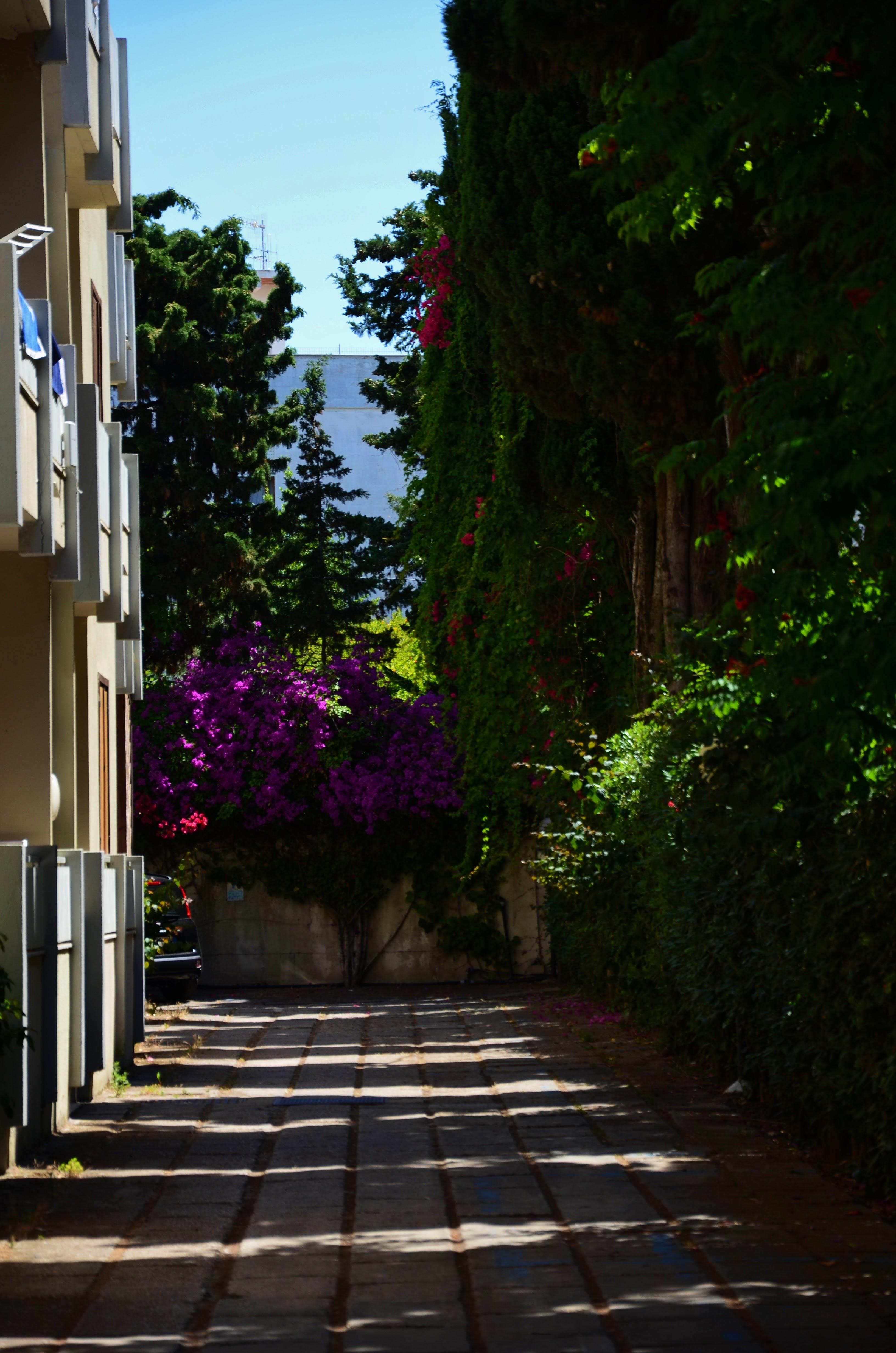 Appart hôtel Eucalipti