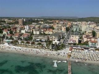 Eucalipti 3*